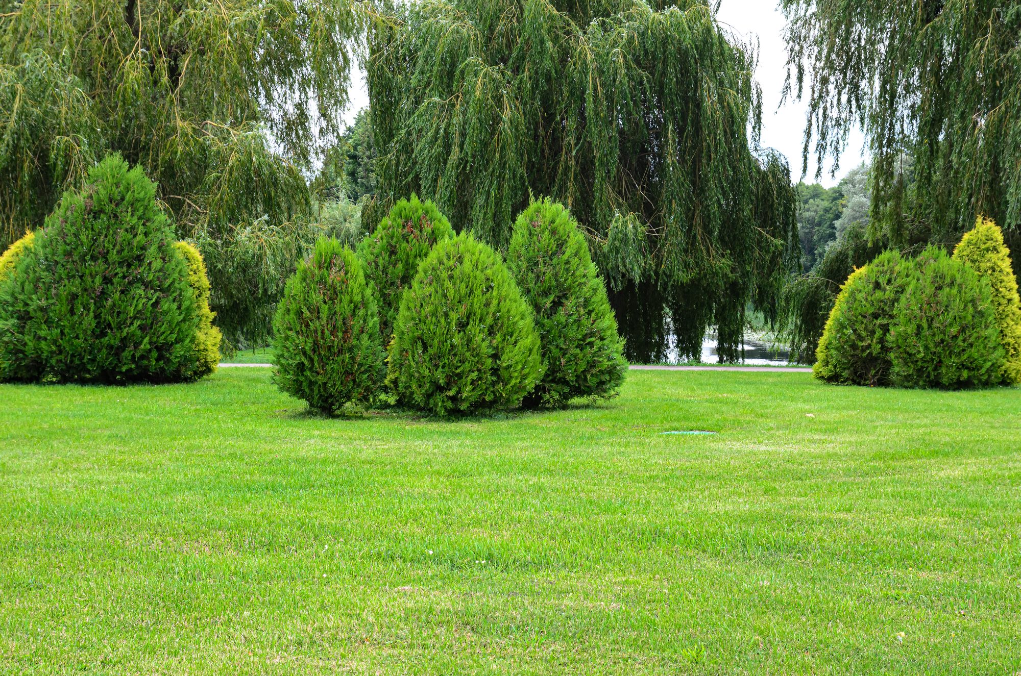 Gepflegter Garten mit Rasenfläche und alten Bäumen