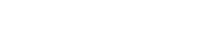 Toplica Management